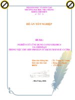 NGHIÊN cứu ỨNG DỤNG CANXI CHLORUA và CHITOSAN TRONG VIỆC THU hồi PROTEIN từ DỊCH THẢI máu cá TRA