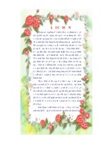 vai trò của ánh sáng trong sinh trưởng, phát triển và phát sinh hình thái ở các cơ quan nuôi cấy của một số loài cây có giá trị kinh tế