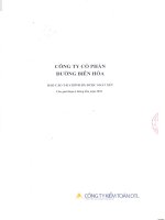 công ty cổ phần đường biên hòa báo cáo tài chính đã được soát xét cho giai đoạn 6 tháng đầu năm 2010