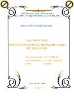 xác định type vi khuẩn pasturella multocida bằng kỹ thuật pcr