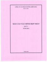 công ty cổ phần đường biên hòa báo cáo tài chính hợp nhất quý 1 năm 2014