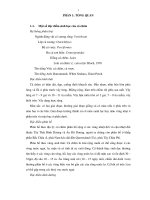 nghiên cứu sự phát triển tuyến ức của cá chẽm (lates calcarifer bloch, 1790) bằng phương pháp mô học