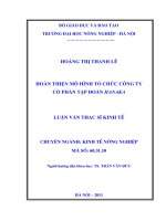 Luận văn thạc sĩ HOÀN THIỆN MÔ HÌNH TỔ CHỨC CÔNG TY CỔ PHẦN TẬP ĐOÀN HANAKA