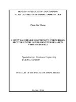 nghiên cứu các giải pháp hợp lý để tận thu dầu trong cát kết mioxen hạ, mỏ bạch hổ bản tóm tắt tiếng anh
