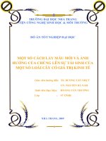 MỘT số CÁCH lấy mẫu mới và ẢNH HƯỞNG của CHÚNG lên sự tái SINH của một số LOÀI cây có GIÁ TRỊ KINH tế