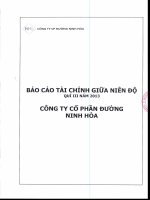 công ty cổ phần đường ninh hòa báo cáo tài chính giữa niên độ quý 3 năm 2013