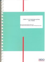 công ty cổ phần mía đường sóc trăng báo cáo tài chính đã được kiểm toán cho năm tài chính kết thúc 30 tháng 6 năm 2012