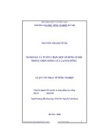 Đánh giá và tuyển chọn một số dòng R mới trong chọn giống lúa lai hai dòng