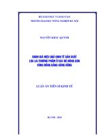 Luận án tiến sĩ Đánh giá hiệu quả kinh tế sản xuất lúa lai THƯƠNG PHẩM ở các Hộ NÔNG DÂN vùng đồng bằng sông hồng