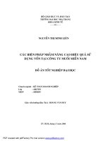 các biện pháp nhằm nâng cao hiệu quả sử dụng vốn tại công ty muối miền nam