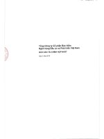 tổng công ty cổ phần bảo hiểm ngân hàng đầu tư và phát triển việt nam báo cáo tài chính hợp nhất quý 2 năm 2014