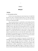 nghiên cứu xây dựng các chỉ tiêu nghề lưới kéo đôi ở vịnh bắc bộ