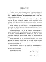 Thẩm định cho vay trung, dài hạn đối với doanh nghiệp tại ngân hàng công thương cửa lò, nghệ an