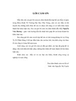 Hoàn thiện công tác hạch toán kế toán chi phí sản xuất và tính giá thành sản phẩm tại công ty cổ phần đông á