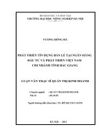 phát triển tín dụng bán lẻ tại ngân hàng đầu tư và phát triển việt nam chi nhánh tỉnh bắc giang