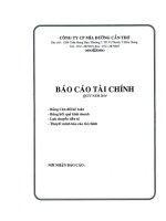 công ty cổ phần mía đường cần thơ báo cáo tài chính quý 1 năm 2014