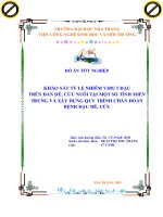 khảo sát tỷ lệ nhiễm virut đậu trên đàn dê, cừu nuôi tại một số tỉnh miền trung và xây dựng quy trình chẩn đoán bệnh đậu dê, cừu