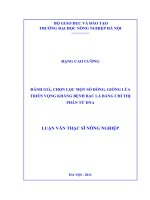 Luận văn thạc sĩ ðÁNH GIÁ, CHỌN LỌC MỘT SỐ DÒNG, GIỐNG LÚA TRIỂN VỌNG KHÁNG BỆNH BẠC LÁ BẰNG CHỈ THỊ PHÂN TỬ DNA