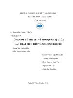 Tiểu Luận TÓM LƯỢT LÝ THUYẾT VỀ MỐI QUAN HỆ GIỮA LẠM PHÁT MỤC TIÊU VÀ NGƯỠNG BỘI CHI