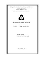 Đề tài sản xuất rượu vang có gas