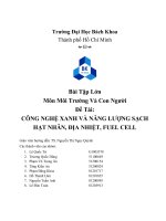công nghệ xanh và năng lượng sạch hạt nhân, địa nhiệt, fuel cell