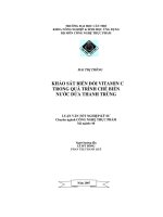 Khảo sát biến đổi vitamin c trong quá trình chế biến nước dứa thanh trùng