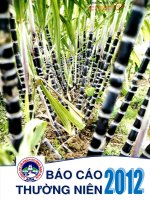 công ty cổ phần đường kon tum báo cáo thường niên 2012