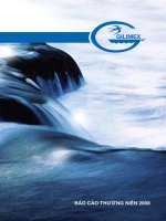 công ty cổ phần sản xuất kinh doanh xuất nhập khẩu bình thạnh gilimex báo cáo thường niên 2008