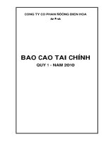công ty cổ phần đường biên hòa báo cáo tài chính quý 1 năm 2010