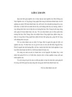 nghiên cứu xác định hệ dung môi hòa tan lignocellulose trong rơm rạ