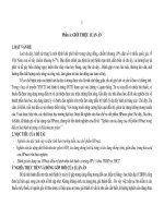 tóm tắt luận án  nghiên cứu tác dụng của chế phẩm hpmax trong điều tri loét hành tá tràngcó helicobacter pylori