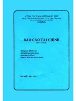 công ty cổ phần mía đường cần thơ báo cáo tài chính quý 1 năm 2013