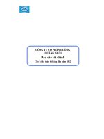 công ty cổ phần đường quảng ngãi báo cáo tài chính  cho kỳ kế toán 6 tháng đầu năm 2012