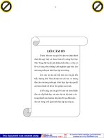 xây dựng chiến lược kinh doanh cho khách sạn sunrise