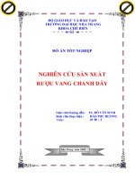 Đồ án tốt nghiệp nghiên cứu sản xuất rượu vang chanh dây