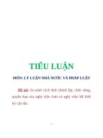 tiểu luận môn lý luận nhà nước và pháp luật