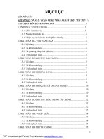 một số biện pháp nhằm hoàn thiện công tác kế toán doanh thu tiêu thụ và xác định kết quả kinh doanh tại công ty cổ phần xây dựng thủy lợi và cơ sở hạ tầng khánh hòa