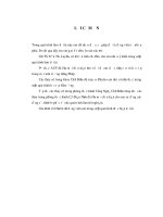 đồ án tốt nghiệp nghiên cứu sử dụng phụ gia an toàn để nâng cao chất lượng giò lụa