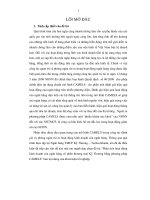 Phân tích hoạt động kinh doanh của ngân hàng cổ phần thương mại kỹ thương bằng phương pháp CAMELS