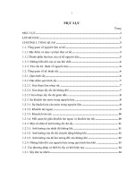 Nghiên cứu ảnh hưởng các chế độ xử lý sorbitol đến chất lượng cá hố khô bằng phương pháp sấy bức xạ mặt trời kết hợp đối lưu
