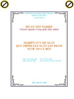 đồ án tốt nghiệp nghiên cứu đề xuất quy trình sản xuất sản phẩm nước ép cà rốt