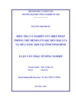 Luận văn thạc sĩ ðIỀU TRA VÀ NGHIÊN CỨU BIỆN PHÁP PHÒNG TRỪ BỆNH LÙN SỌC ðEN HẠI LÚA VỤ MÙA NĂM 2010 TẠI TỈNH NINH BÌNH