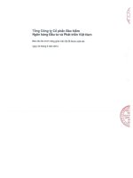 tổng công ty cổ phần bảo hiểm ngân hàng đầu tư và phát triển việt nam báo cáo tài chính riêng giữa niên độ đã được soát xét 30 tháng 6 năm 2014