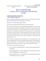 công ty cổ phần đường biên hòa báo cáo thường niên 2008