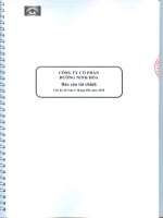 công ty cổ phần đường ninh hòa báo cáo tài chính cho kỳ kế toán 6 tháng đầu năm 2010