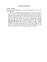 tiểu luận máy điện di