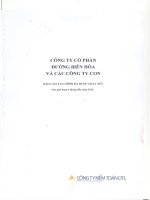 công ty cổ phần đường biên hòa và các công ty con báo cáo tài chính đã được soát xét cho giai đoạn 6 tháng đầu năm 2010
