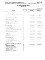 công ty cổ phần sản xuất kinh doanh xuất nhập khẩu bình thạnh bảng cân đối kế toán báo cáo lưu chuyển tiền tệ báo cáo kết quả hoạt động kinh doanh báo cáo tài chính quý 3 ngày 30 tháng 9 năm 2010