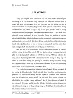 vai trò kinh tế của nhà nước trong nền kinh tế thị trường định hướng xhcn ở nước ta hiện nay