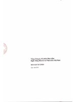 tổng công ty cổ phần bảo hiểm ngân hàng đầu tư và phát triển việt nam báo cáo tài chính quý 1 năm 2014